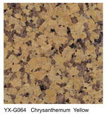 Chrvsanthemum Yellow granite