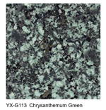 Chrysanthemum Green granite