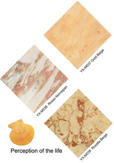 rosso norvegian marble & gold beige marble